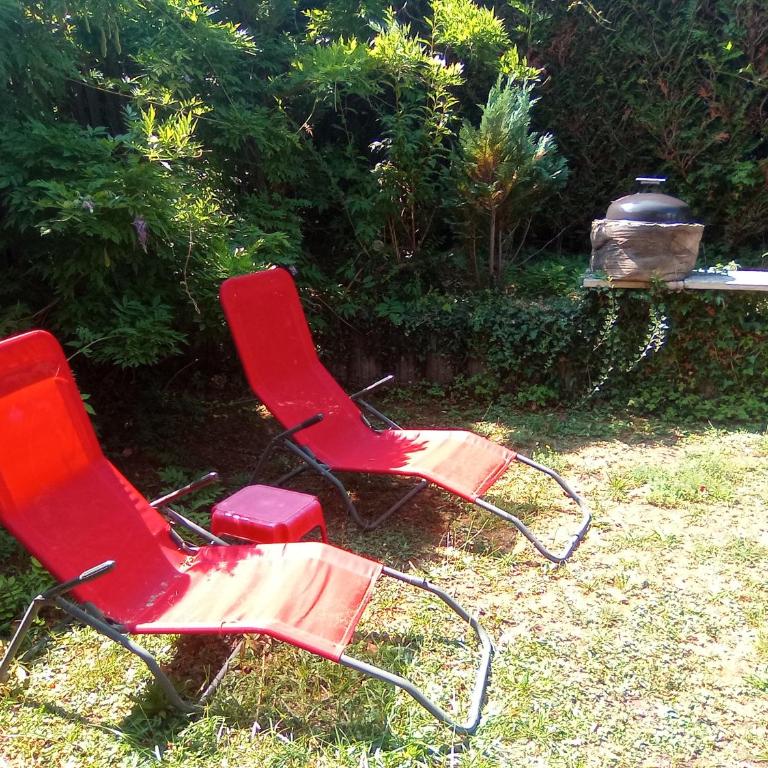 Petit st Georges Chambres avec patium et jardin - Apartment mit 1 Schlafzimmer - 21