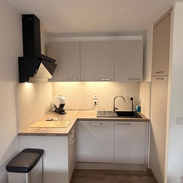 Le Belved'air Appartment 4-6 pers entièrement rénové - Appartamento con 2 Camere da Letto - 9