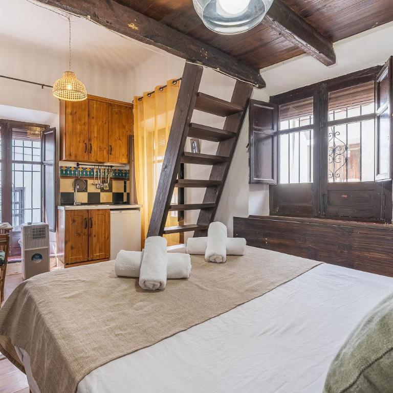 Mirador Ojo de Granada pleno Albaicín y en el Centro - One-Bedroom Apartment - 6