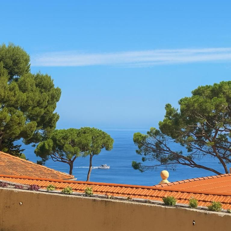 Comfortable 1-Bedroom Apartment Near Monaco - Appartement 1 Chambre - 4