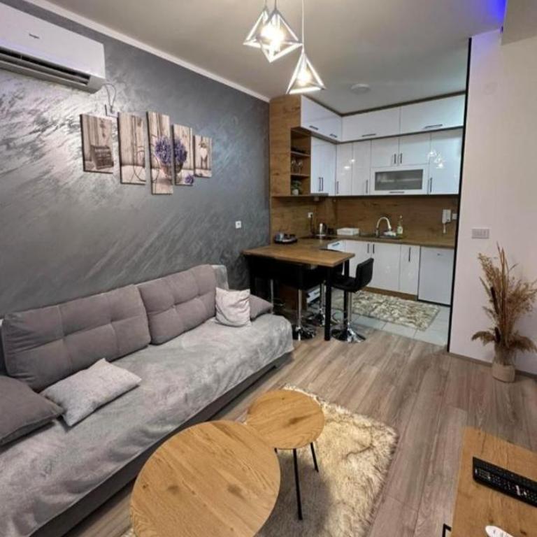 apartmanjagodinaana - Apartman sa 1 Spavaćom Sobom - 1