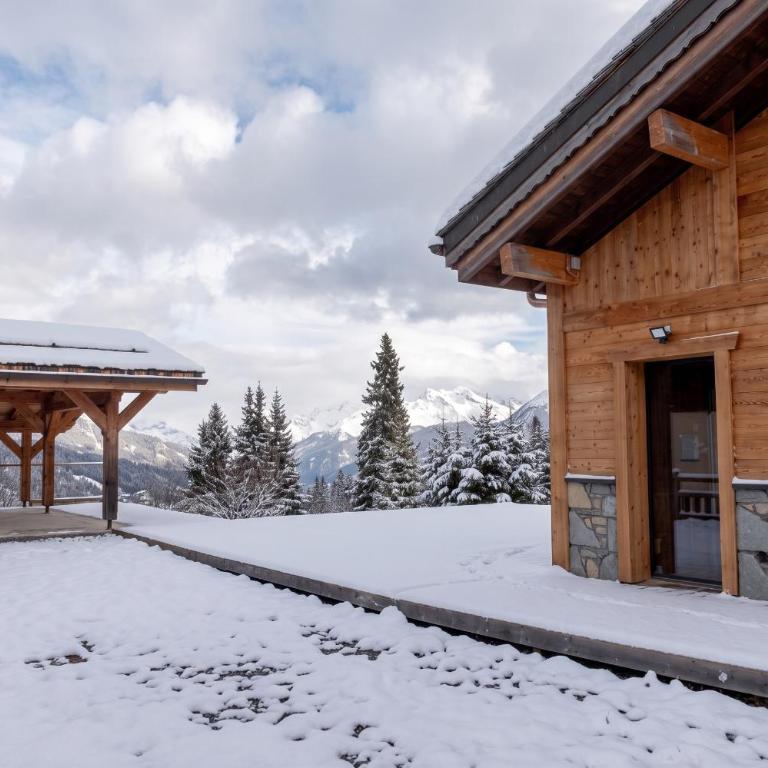 Ski in Ski out - Chalet Le Petit Pierre - Chalet Superior - 19