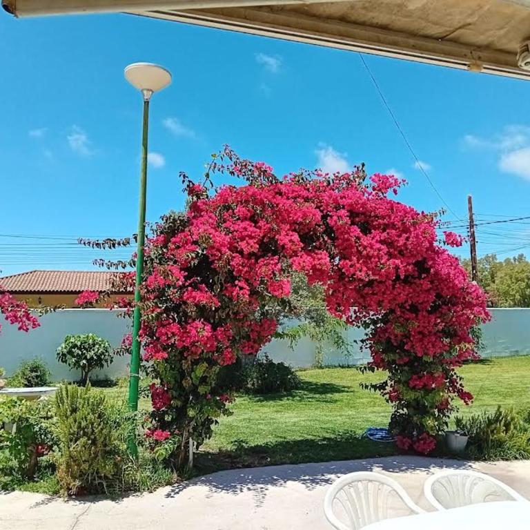 Villa VERANO AZUL - Three-Bedroom Home - 4