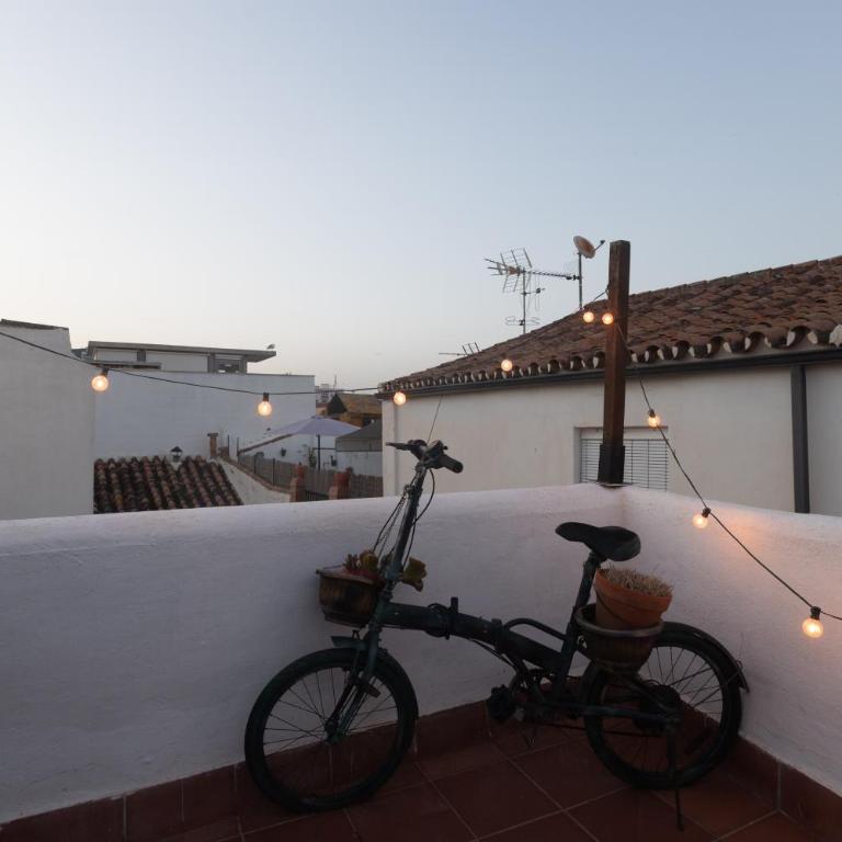 Mirador de San Felipe Neri - Apartamento de 3 dormitorios - 39
