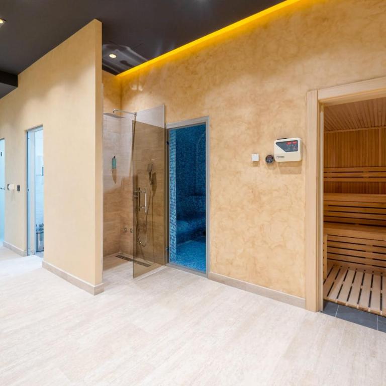 BlueStar Apt & Spa Zlatibor - Apartman sa 1 Spavaćom Sobom - 8