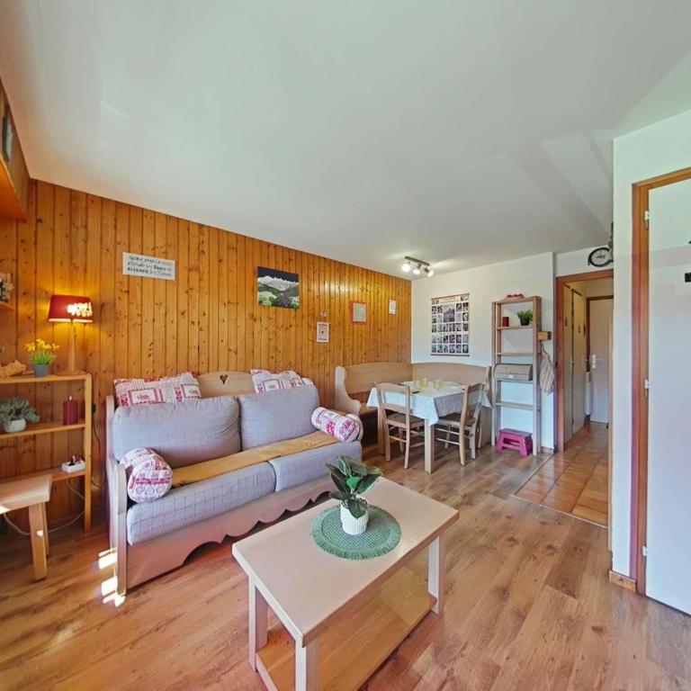 Studio cabine Vue chaine des Aravis - 4 couchages - Grand Bornand Village - GB090-C2 - Appartement 1 Chambre Deluxe - 3