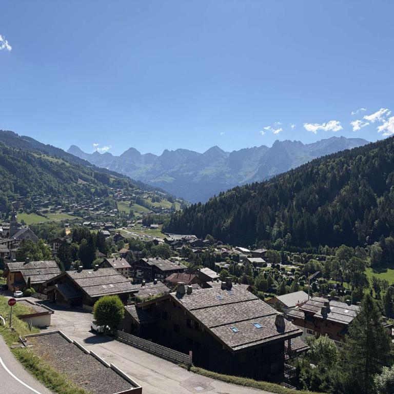Studio cabine Vue chaine des Aravis - 4 couchages - Grand Bornand Village - GB090-C2 - Appartement 1 Chambre Deluxe - 11