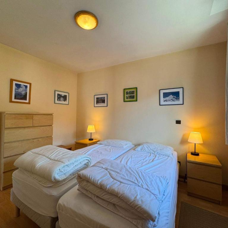 LES 5 LACS J2 - Bel appartement centre-ville - Appartement - 6
