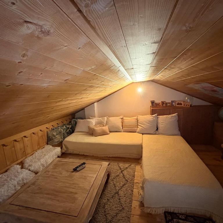 Cocon sous les toits - Appartement - 13