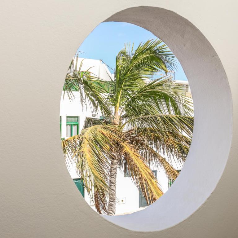 Mishushouse - Apartment mit Terrasse - 16