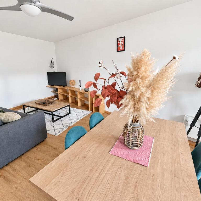 1 ch 1 sdb - Résidence sécurisée - Dream Spirit - Appartement 1 Chambre - 5