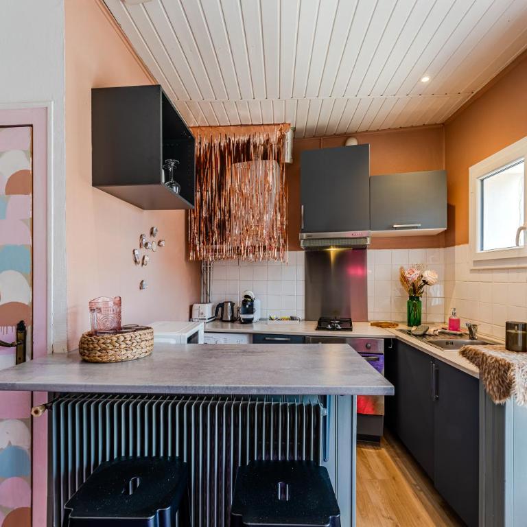 Coquillages et crustacés, vidéoprojecteur baignoire îlot chez Ivona Vacances - Appartement 1 Chambre - 17