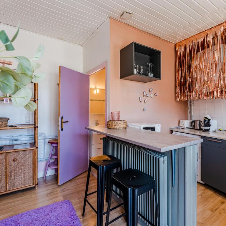 Coquillages et crustacés, vidéoprojecteur baignoire îlot chez Ivona Vacances - Appartement 1 Chambre - 5