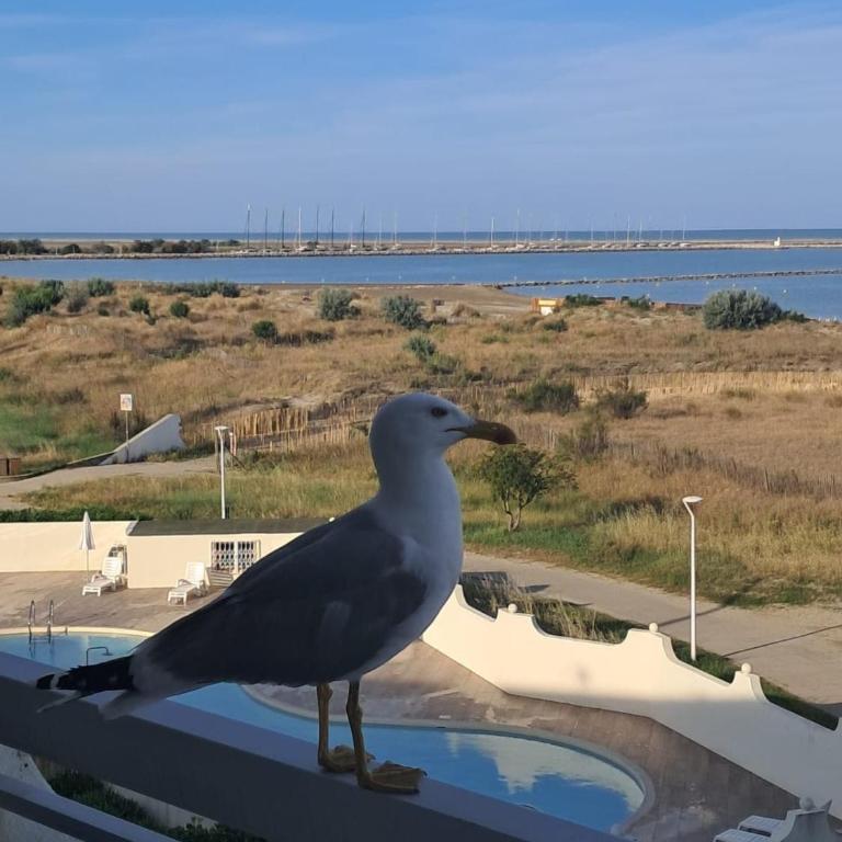 studio bord de mer - Apartment mit 2 Schlafzimmern - 1