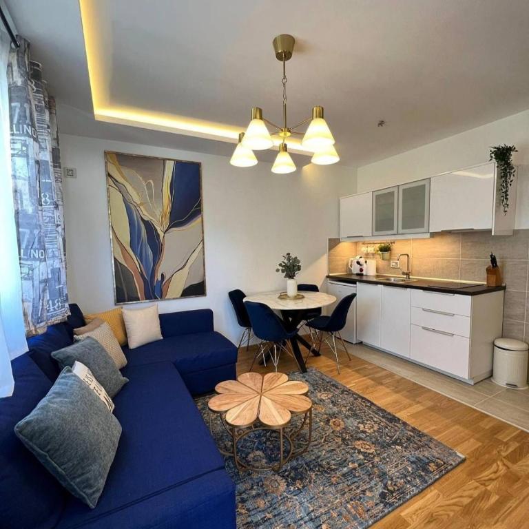 BlueStar Apt & Spa Zlatibor - Apartman sa 1 Spavaćom Sobom - 31