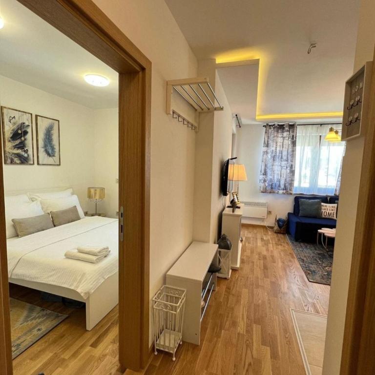BlueStar Apt & Spa Zlatibor - Apartman sa 1 Spavaćom Sobom - 32