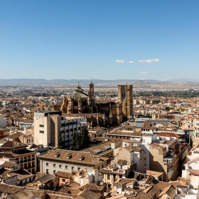 Apartamento en Albaicyn, con terraza y vistas - One-Bedroom Apartment - 33