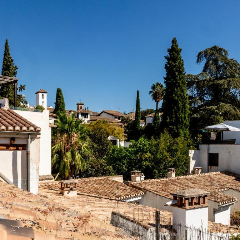 Apartamento en Albaicyn, con terraza y vistas - One-Bedroom Apartment - 46