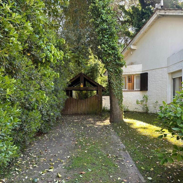 Cálida casa con naturaleza en bosque pinamarense - Casa - 35