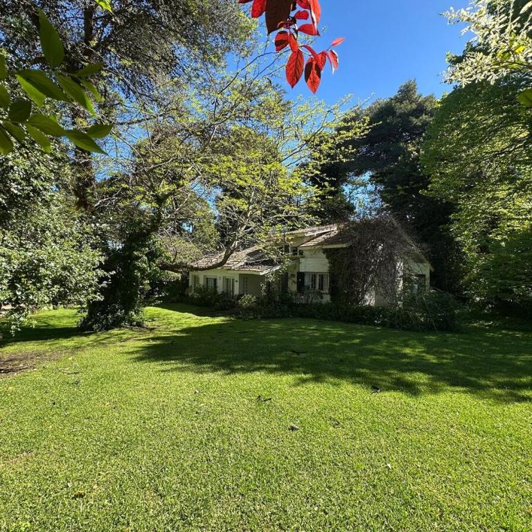 Cálida casa con naturaleza en bosque pinamarense - Casa - 39