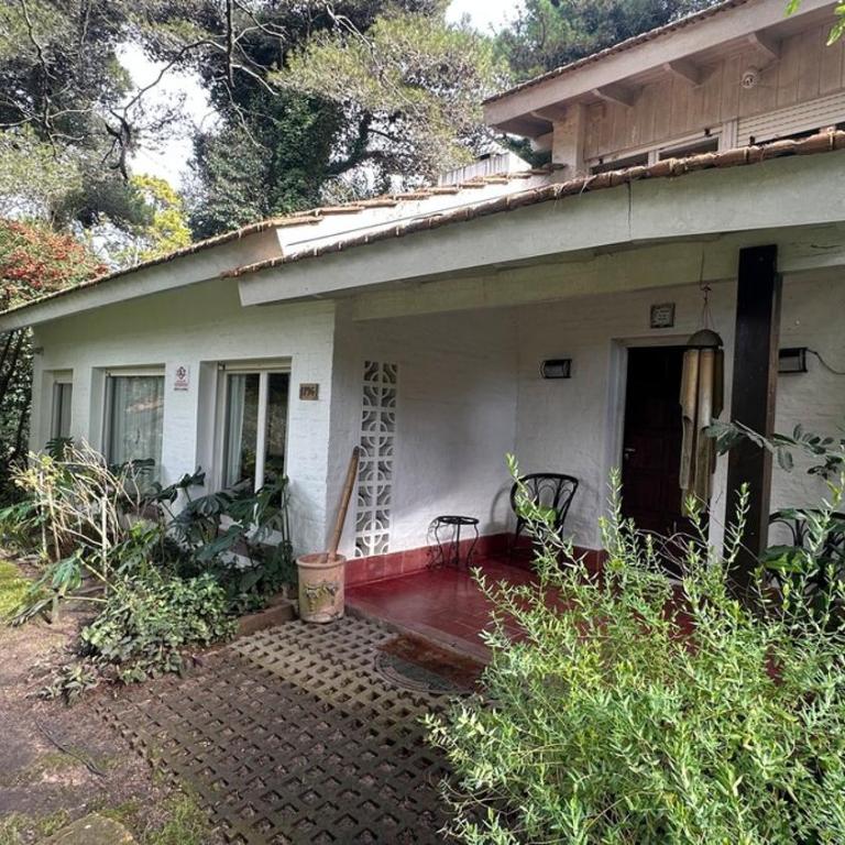 Cálida casa con naturaleza en bosque pinamarense - Casa - 32