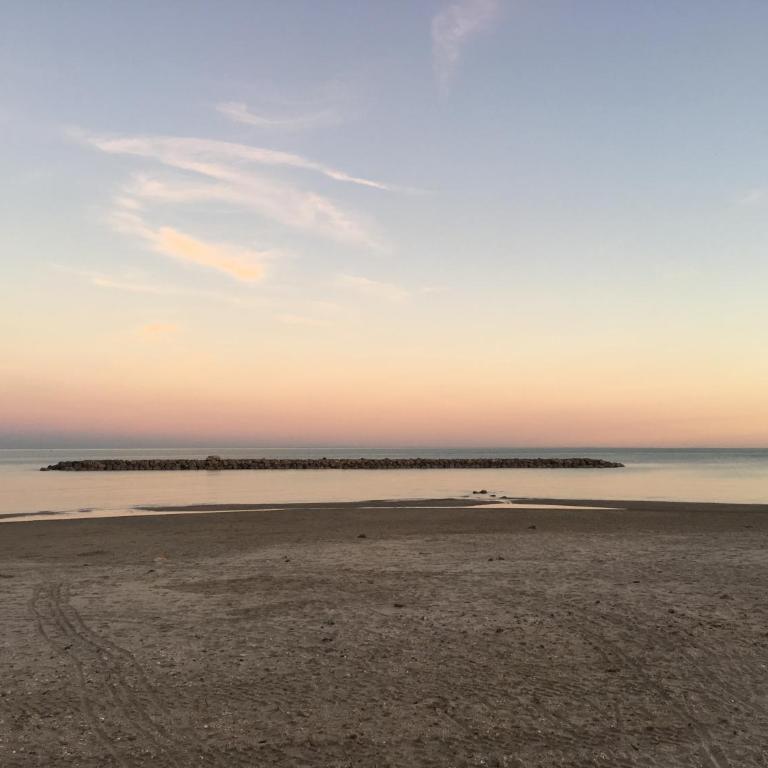 Superbe appartement sur la plage - Le Zénith - Appartement - Vue sur Mer - 10