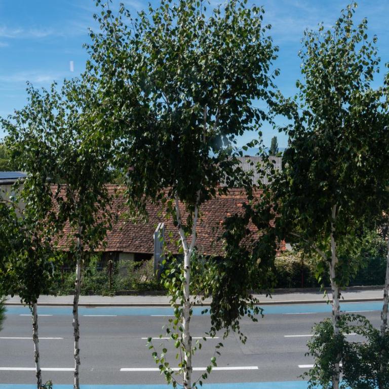 Appartement Khodai - Apartment mit 1 Schlafzimmer - 20