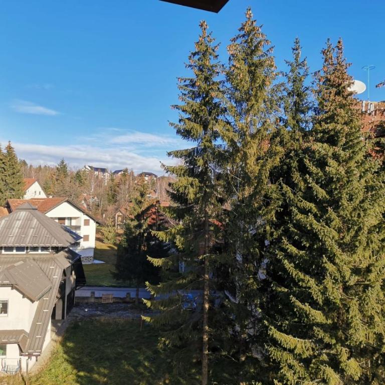 BlueStar Apt & Spa Zlatibor - Apartman sa 1 Spavaćom Sobom - 39