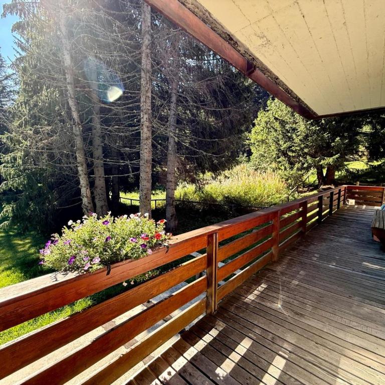 Quadrilocale Alpe Grostè - Serafini - Appartamento con 3 Camere da Letto - 25