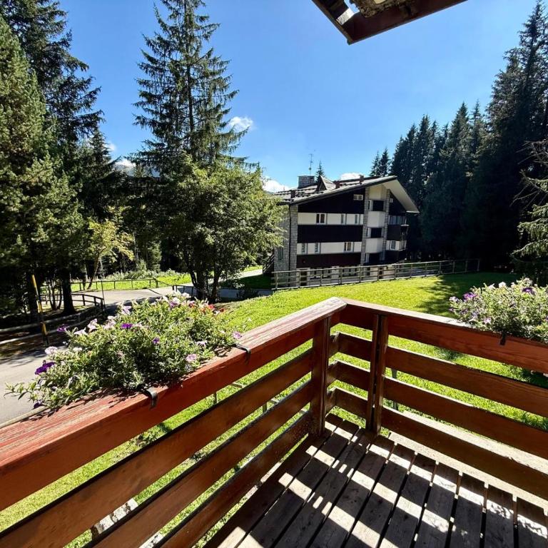 Quadrilocale Alpe Grostè - Serafini - Appartamento con 3 Camere da Letto - 2