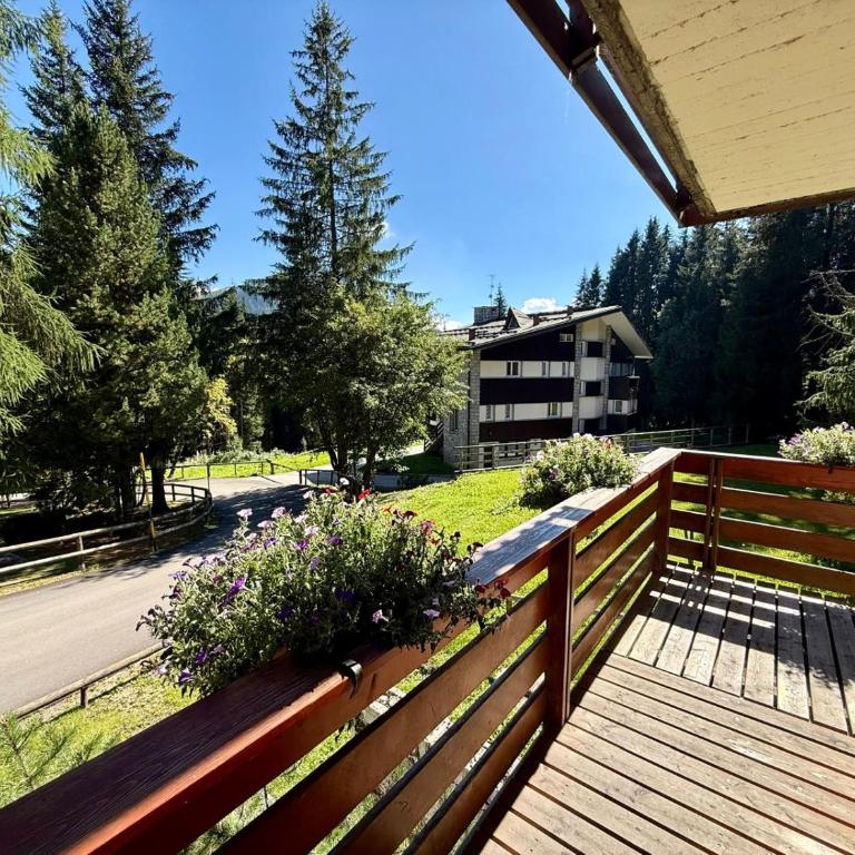 Quadrilocale Alpe Grostè - Serafini - Appartamento con 3 Camere da Letto - 17