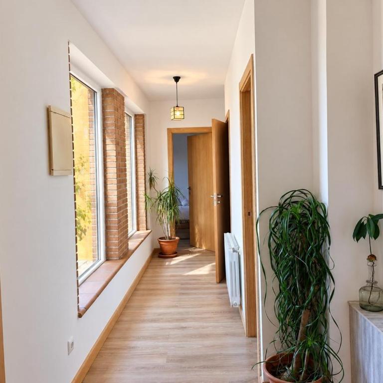 Casa amb piscina i jardí a Palamós per 6 persones - Casa de 3 dormitorios - 72