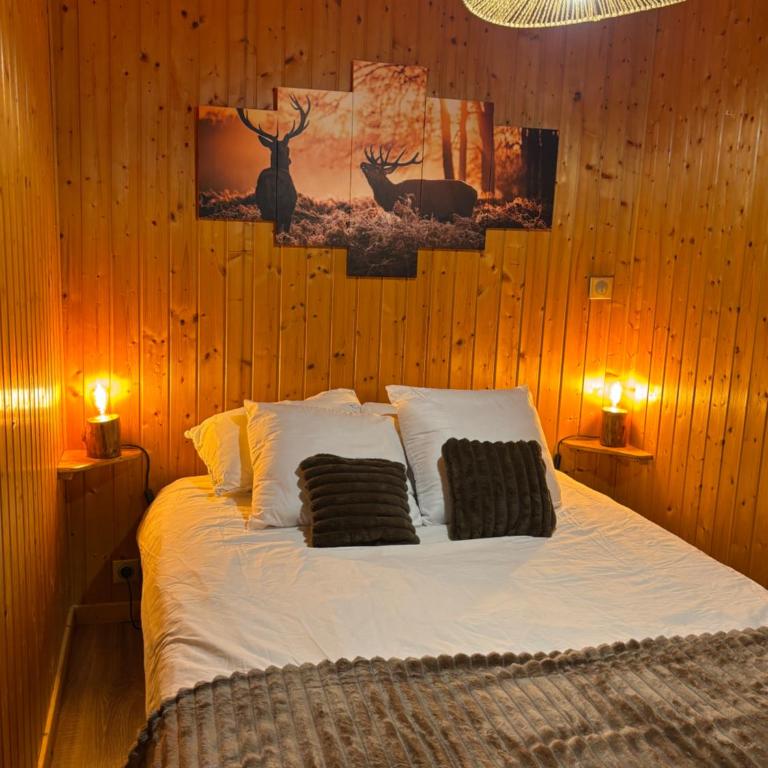 Chalet Cocoon en lisière de forêt, avec grande terrasse, et vue 'waouh' - Chalet 1 Chambre - 26