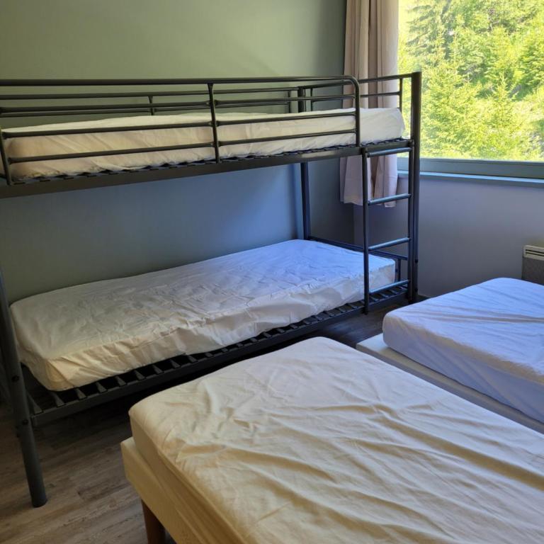 Appartement Flaine Forêt - Appartement 2 Chambres avec Vue sur la Montagne - 10