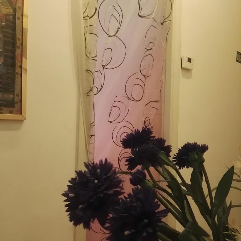 Appartamento The Serendipity - Appartamento con doccia - 11