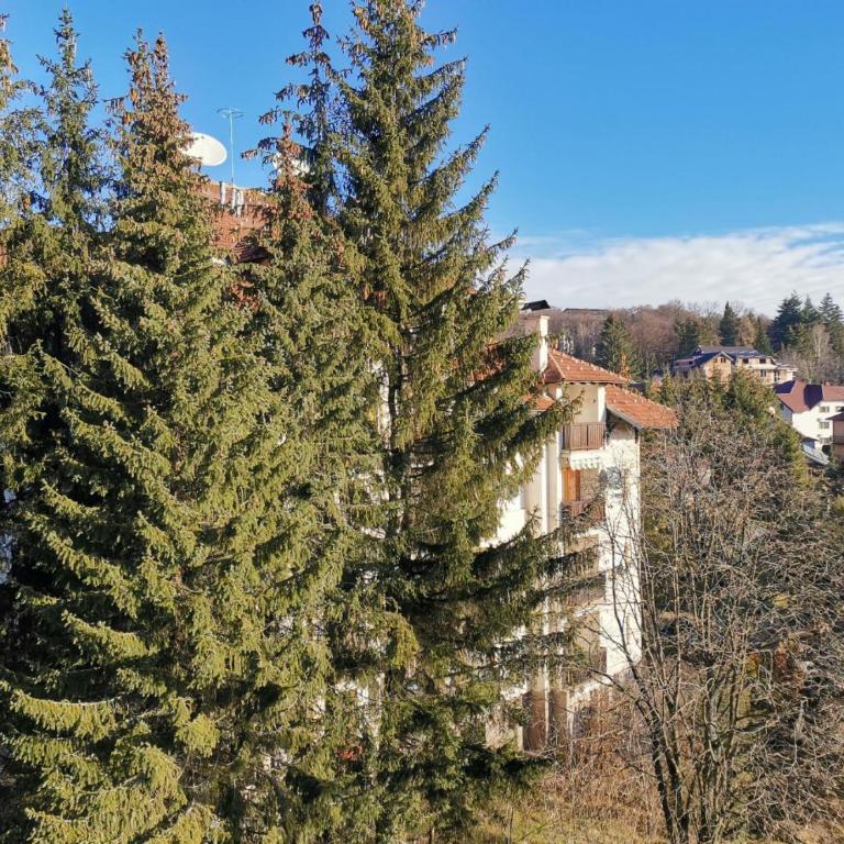 BlueStar Apt & Spa Zlatibor - Apartman sa 1 Spavaćom Sobom - 40