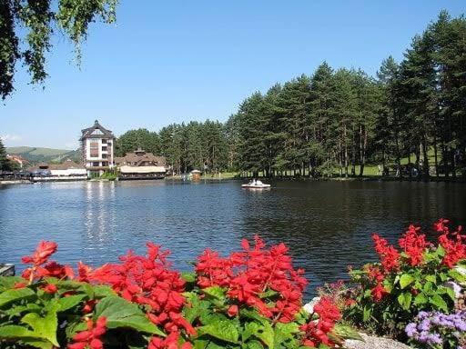 BlueStar Apt & Spa Zlatibor - Apartman sa 1 Spavaćom Sobom - 43