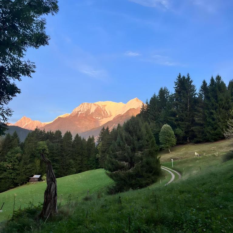 Alpage les Marmottons - Chalet 3 Chambres - 2