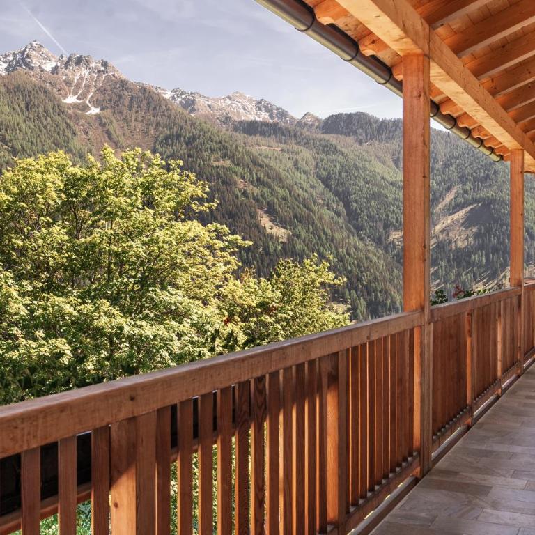 Residence am Kalchgruberhof - wohnen mitten in der Natur - Appartamento con 2 Camere da Letto e con Vista Montagna - 13
