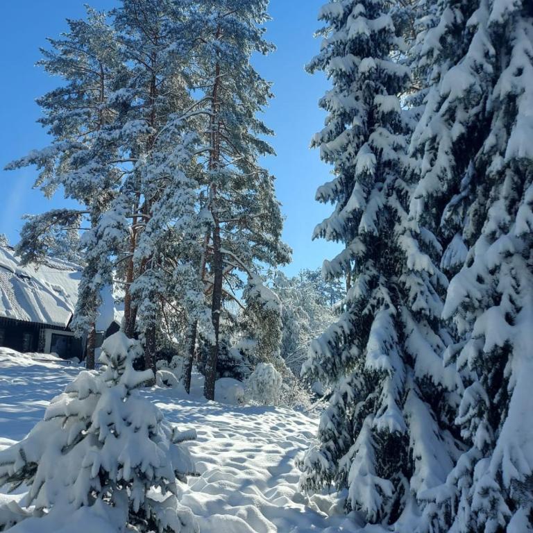 BlueStar Apt & Spa Zlatibor - Apartman sa 1 Spavaćom Sobom - 41