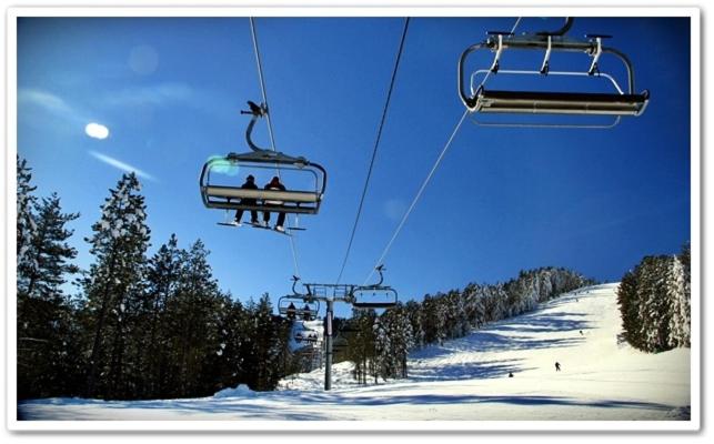 BlueStar Apt & Spa Zlatibor - Apartman sa 1 Spavaćom Sobom - 49