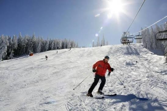 BlueStar Apt & Spa Zlatibor - Apartman sa 1 Spavaćom Sobom - 53