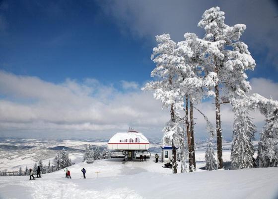 BlueStar Apt & Spa Zlatibor - Apartman sa 1 Spavaćom Sobom - 50