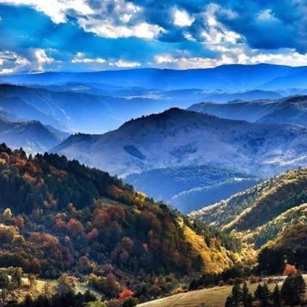 BlueStar Apt & Spa Zlatibor - Apartman sa 1 Spavaćom Sobom - 55