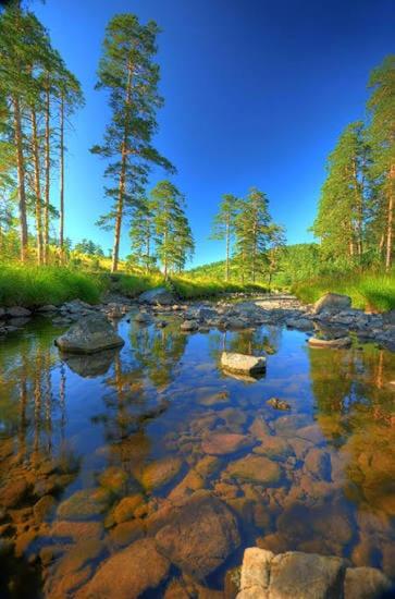 BlueStar Apt & Spa Zlatibor - Apartman sa 1 Spavaćom Sobom - 63