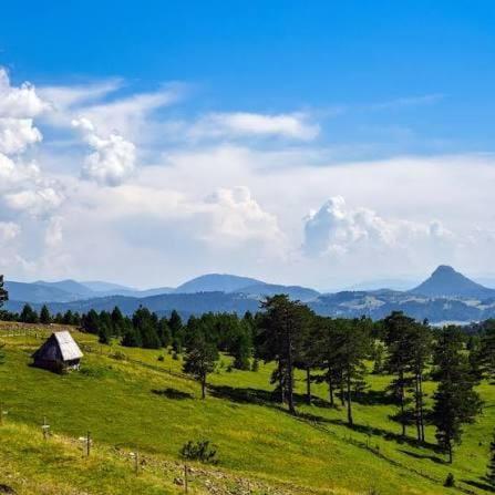 BlueStar Apt & Spa Zlatibor - Apartman sa 1 Spavaćom Sobom - 59