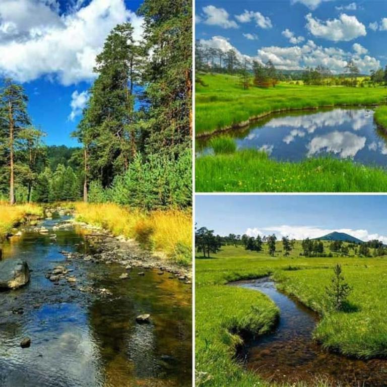 BlueStar Apt & Spa Zlatibor - Apartman sa 1 Spavaćom Sobom - 65
