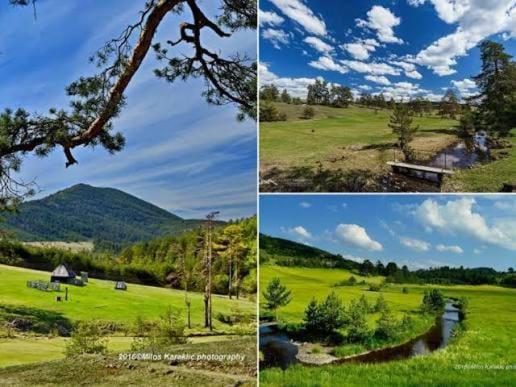 BlueStar Apt & Spa Zlatibor - Apartman sa 1 Spavaćom Sobom - 66