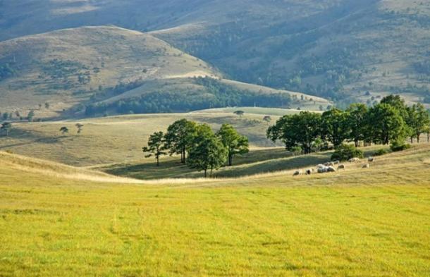 BlueStar Apt & Spa Zlatibor - Apartman sa 1 Spavaćom Sobom - 58