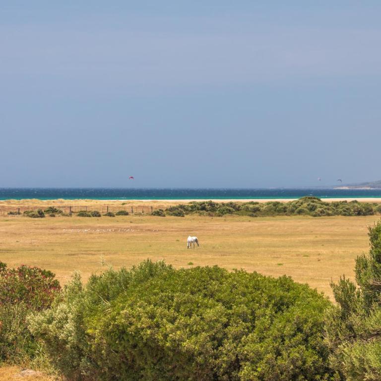 Cerca de la playa, piscina, terraza, vistas - Apartamento de 2 dormitorios con terraza - 52